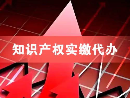 金华知识产权实缴资本代办
